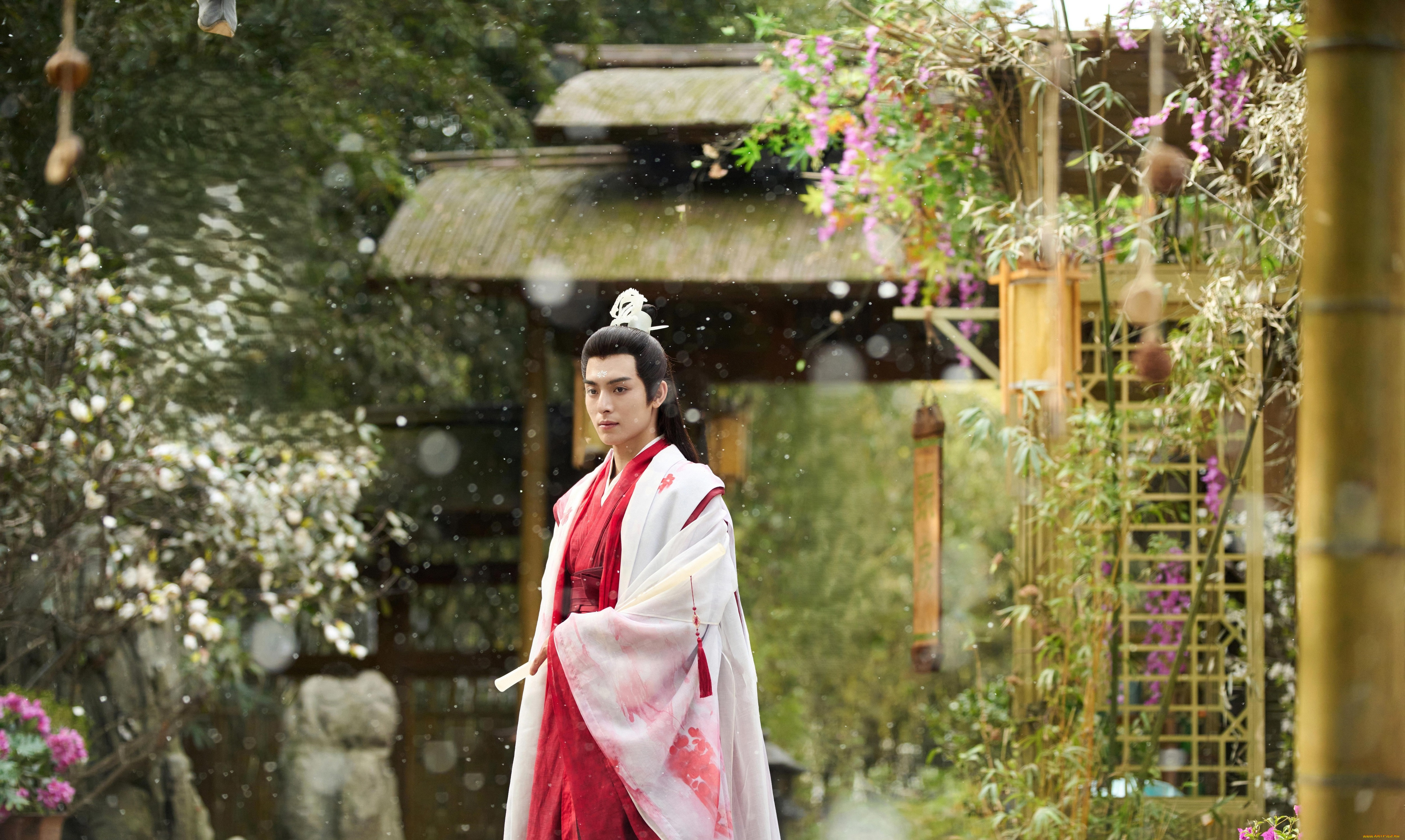  , love of petals, , , , love, of, petals